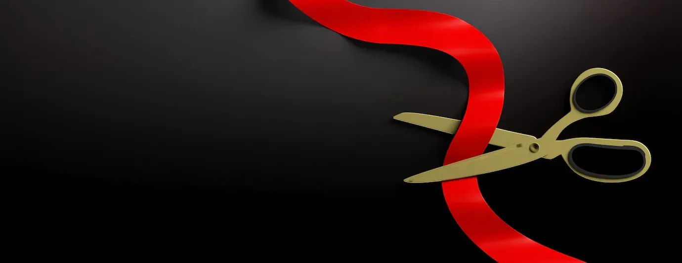 Newsletter No 15